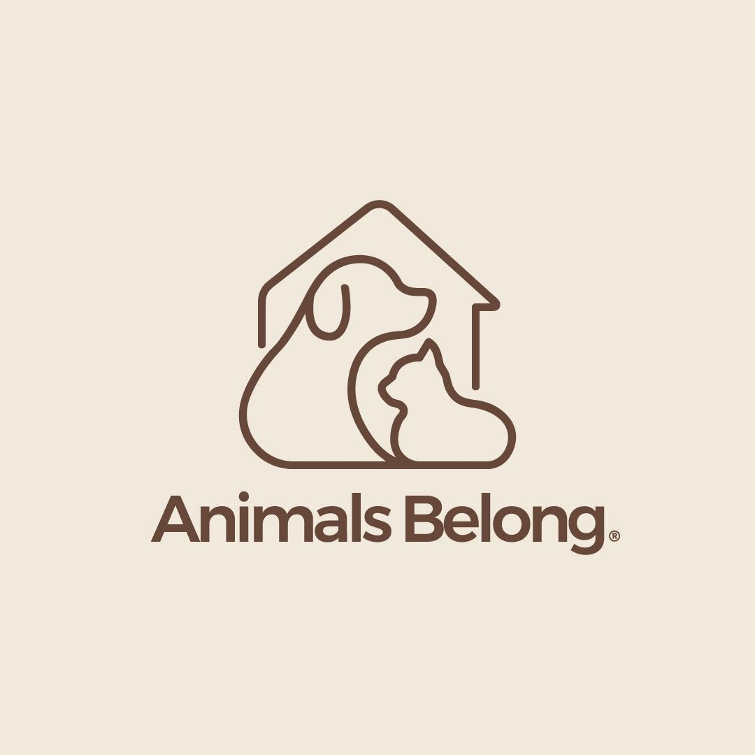 Animals Belong